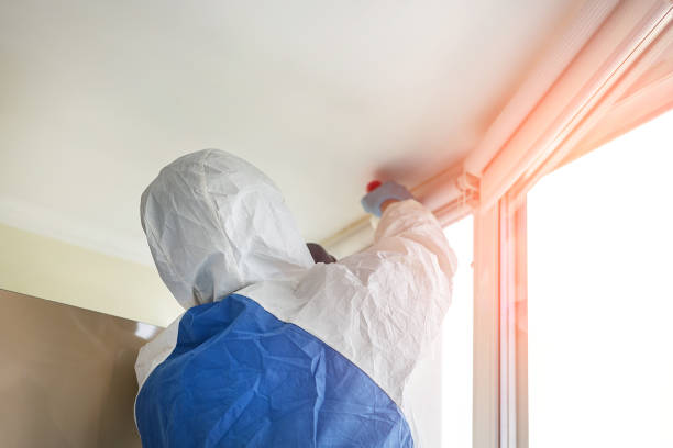 Best Mold Removal for HVAC Installations  in Englewood, FL