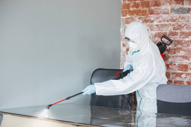 Biohazard Mold Removal in Englewood, FL